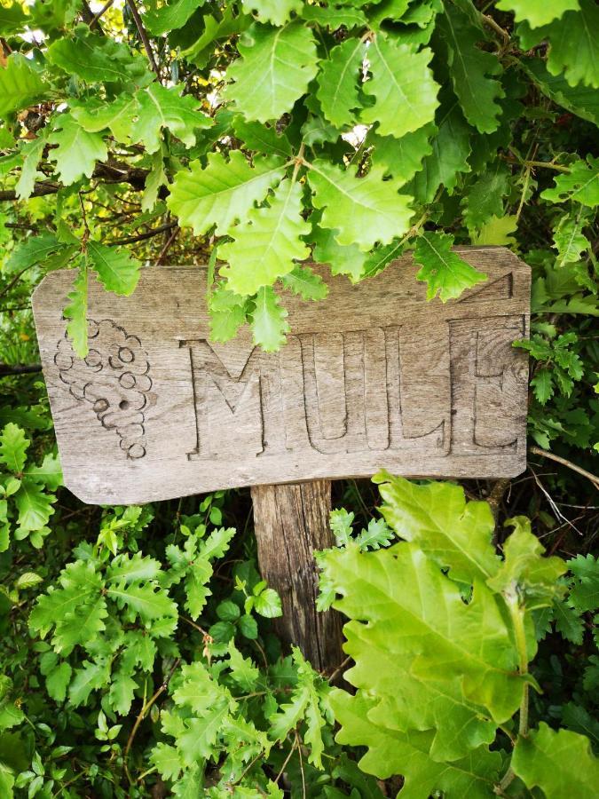 Bed and Breakfast Mule Lagardere Esterno foto